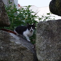 DSC07356